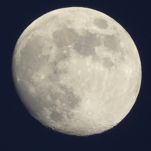 Nikon CoolPix P950 superzoom - Picture 11 of 11